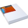 Dala Artist Canvas Box Photo