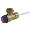 Agrinet Advanced Temp & Relief Valve Photo