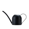 Haus Republik Stainless Steel Watering Can Photo