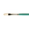 Pro Arte Brush Series A Hog Filbert Photo