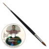 Pro Arte Brush - Tree Combi Brush - Photo