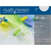 Global Pastel Premier Sanded Pastel Paper - Fine Grit Photo