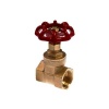 Agri Full Bore Brass Gate Valve Photo