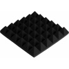 Parrot Acoustic Panels - Pyramid Photo