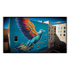 Fancy Artwork Canvas Wall Art :Bird on the wall - Photo