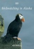 Birdwatching in Alaska Photo