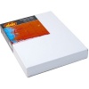 Dala Artist Canvas Box Photo