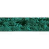 Caran Dache Artist Neopastel - Emerald Green Photo