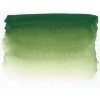 Sennelier S1 Watercolour - Sap Green Photo