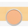 PanPastel Pearlescent Orange Photo