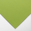 Daler Rowney Murano Pastel Paper - Apple Photo