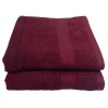 Bunty 's Plush 450 Hand Towel 050x090cms 450GSM - White Photo