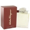 Salvatore Ferragamo Eau De Toilette - Parallel Import Photo