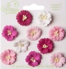 Bloom Enterprises Bloom Embellishments Flowers Apple Blossoms Photo