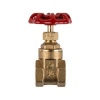 Torrenti Brass Gate Valve Photo