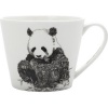 Maxwell Williams Maxwell and Williams Marini Ferlazzo Mug Photo