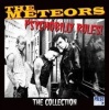 Psychobilly Rules Photo