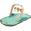 Hape Portable Baby Gym Photo